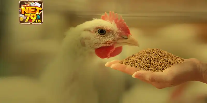 Dinh dưỡng là yếu tố rất quan trọng