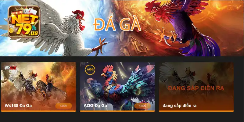 Tổng quan đôi nét về đá gà NET79