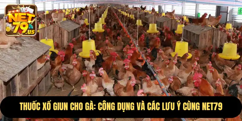 Thuốc Xổ Giun Cho Gà